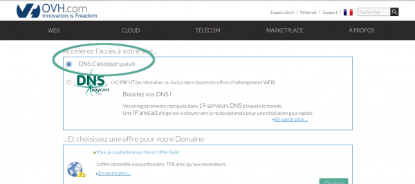 Choix des option du DNS