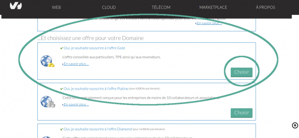 Choix de l'offre pour son domaine