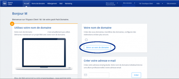 Gestion du domaine 1&1